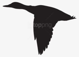 Free Png Duck Flying Silhouette Png - Flying Duck Silhouette Vector