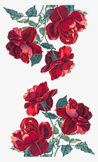 Discover And Share The Most Beautiful And Creative