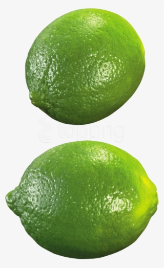 Free Png Lime Png Images Transparent - Lime Png