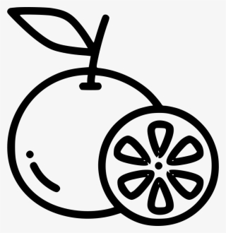 Orange Lemon Lime Citrus Healthy S Comments - Line Art