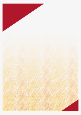 Book Cover Png Hd - Book Image Hd Png