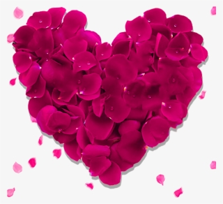 Heart Rose Png Download Image - Red Aesthetic Valentines Day
