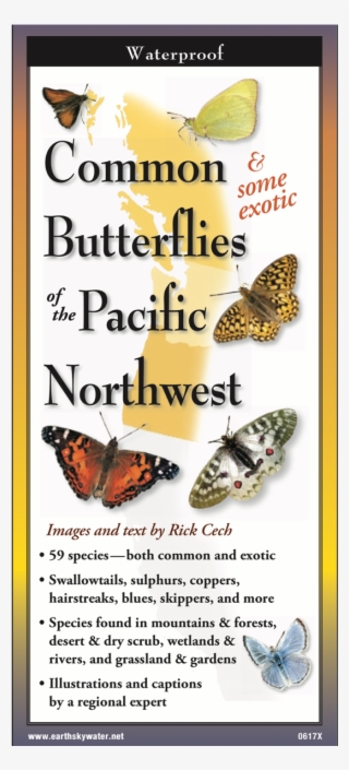 Shopping Cart -  -  - Monarch Butterfly