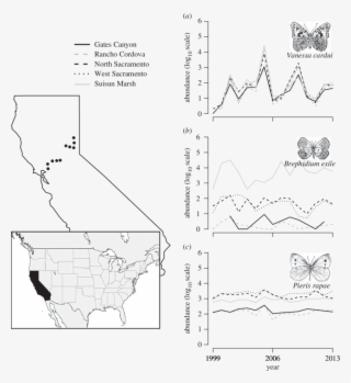 Fifty Butterfly Species Occurring At These Locations - Diagram