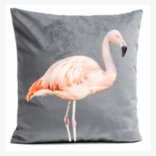 Pillow Cover