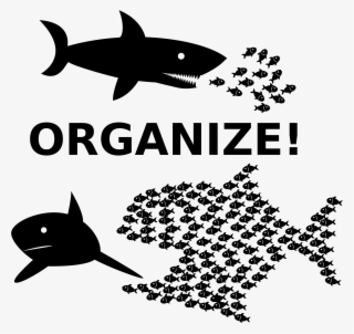 Big Image - Great White Shark