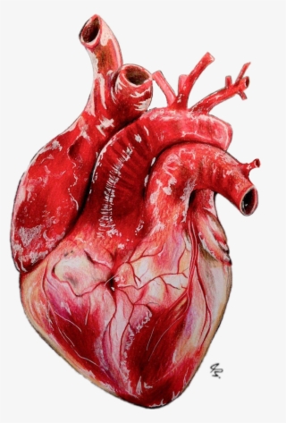#heart #realistic - Drawing Realistic Heart