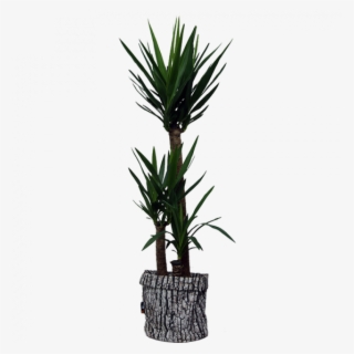 Merowings® Planter Is The Newest Addition To The Merowings - Houseplant