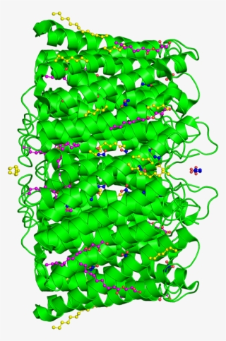 On This - Illustration