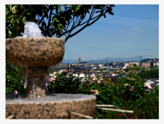 Photo Taken At Restaurante Embajadores By Business - Tree