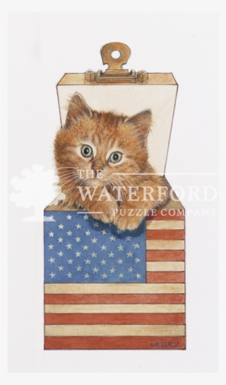 Dandelion In The Stars & Stripes - Eastern Screech Owl