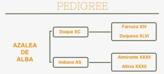 Related Projects - Number