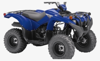 Inventory Listing - 2019 Yamaha Grizzly 90
