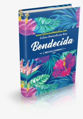 Reparador De Un Corazón Roto - Devocionales Para Mujeres