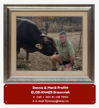 Download File - Picture Frame