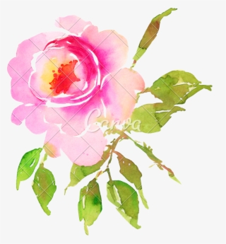 Flower Illustration Photos By Canva - Garden Roses