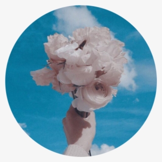 Whiterose Bluesky Aesthetic Background Tumblr Roundobje - Peony