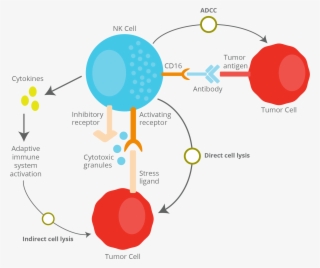 03 Jan 2019 - Diagram
