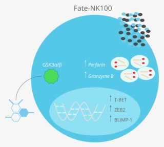 16k Nk 100 03 Jan 2019 - Circle
