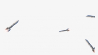 Png 2019 Happy New Year Editing Background - New Cb Background Png 2019