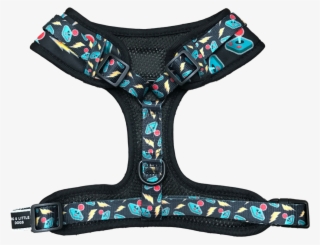 Adjustable Dog Harness - Swimwear