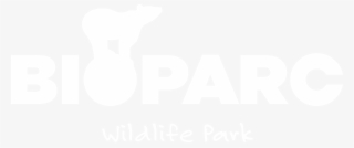 Upon Presentation Of Your Bracelet Received In One - Graphic Design