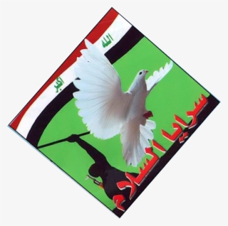 34، 18 نوفمبر 2014 - Jaish Al Mahdi Flag