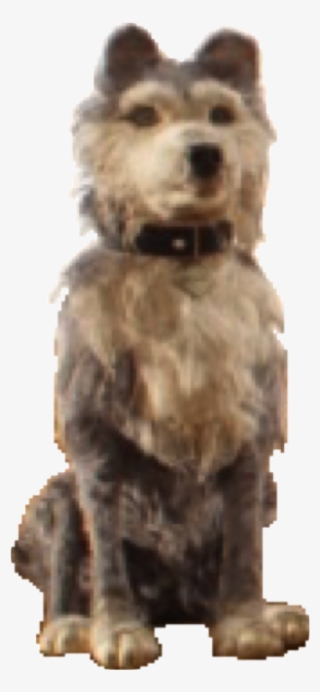 Duke - Isle Of Dogs Duke