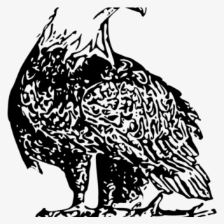 Black Eagle Clipart Eagle Nest - Bald Eagle
