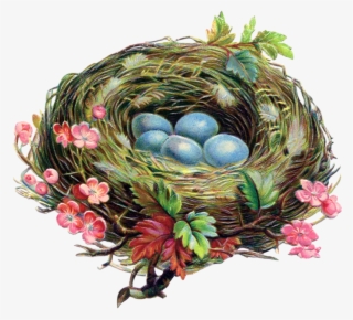 Яндекс - Фотки - Vintage Robin Nests