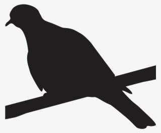 Birds Nest Clipart Doves - Bird Shape