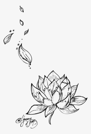 Tattoo Flower Nelumbo Nucifera Lotus Egyptian Drawing - Rose Petals Tattoo Designs