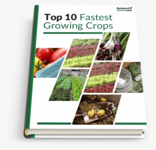 10 Fastest Growing Crops - Urban Farm