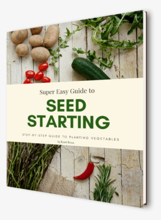 Book Cover For Super Easy Guide To Seed Starting By - Flyer