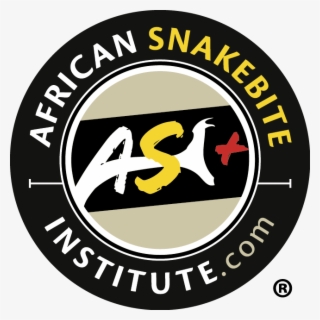 Girl With Ponytail Silhouette