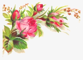 Pink Flower Clipart Transparent Background - Floral Corner Border Transparent