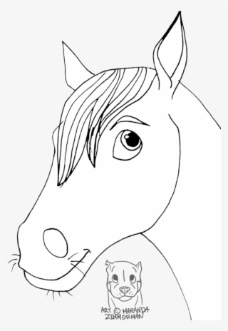 Face Drawing Basic - Mane