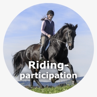 Parti Des Sans Parti