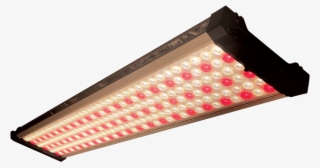 Led Grow Lights - Light