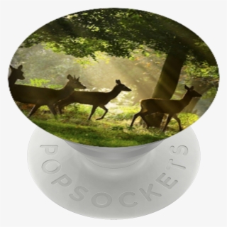 Deer Wildlife🦌, Popsockets