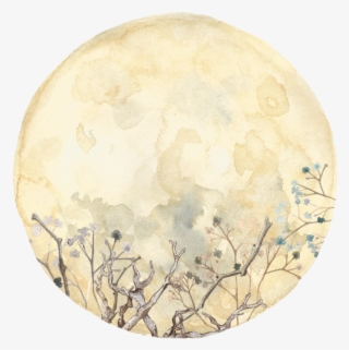 "compare It To The Moon Cecilua, What You've Been Taught - Circle