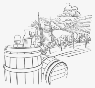 Vineyard Drawing Vintage - Vineyard Drawing