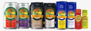 Reeds, Inc Interview With Ceo Valentin Stalowir Discussing - Caffeinated Drink