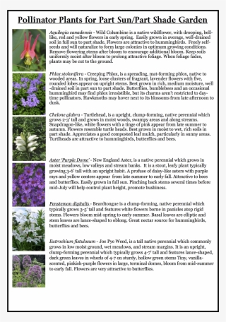 Pollinator - Flowers Great Plains Early Summer