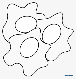 Dr Seuss Coloring Pages Green Eggs And Ham - Eggs Clip Art