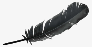 Have Been Looking Up At The Birds And Wondering What - Amazon Blue Origin Logo