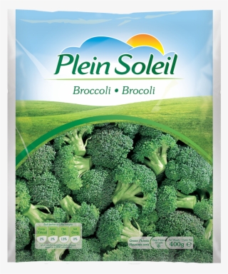 Plein Soleil- Broccoli - Plantation