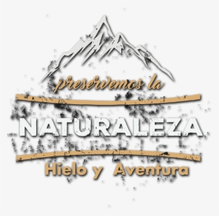 We Invite You To Commit To Our Environment During The - Calligraphy