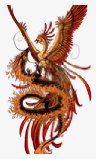 Phoenix Tattoos Png Transparent Images - Colored Phoenix Tattoo Designs