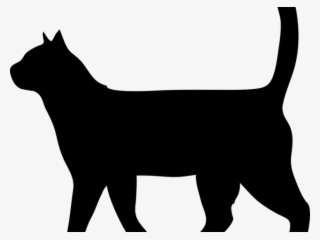 Silhouette Of Cat